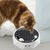 UAMLY Jouet Interactif pour Chat Piste Électronique Plateau Tournant