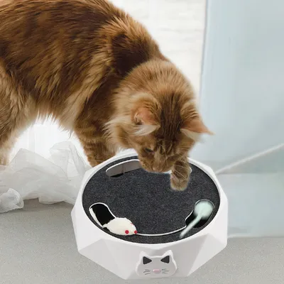 UAMLY Jouet Interactif pour Chat Piste Électronique Plateau Tournant