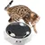 UAMLY Jouet Interactif pour Chat Piste Électronique Plateau Tournant