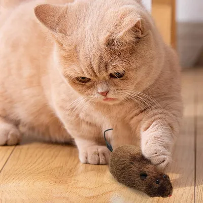 UAMLY Juguetes de actividades con forma de ratón para gatos