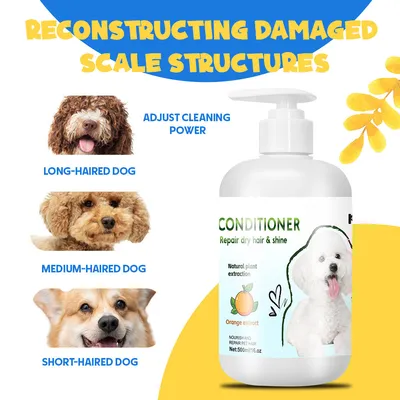 IntiMeg Après - shampooing pour chien 500 ml