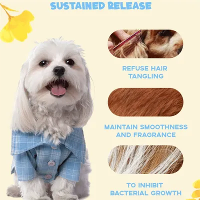 IntiMeg Après - shampooing pour chien 500 ml