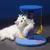 IntiMeg Katzenhaus mit Kratzbaum und Spielzeug IntiMeg Katzenhaus mit Kratzbaum und Spielzeug