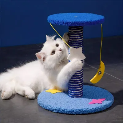 IntiMeg Katzenhaus mit Kratzbaum und Spielzeug IntiMeg Katzenhaus mit Kratzbaum und Spielzeug