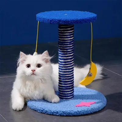IntiMeg Katzenhaus mit Kratzbaum und Spielzeug IntiMeg Katzenhaus mit Kratzbaum und Spielzeug
