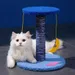 IntiMeg Katzenhaus mit Kratzbaum und Spielzeug