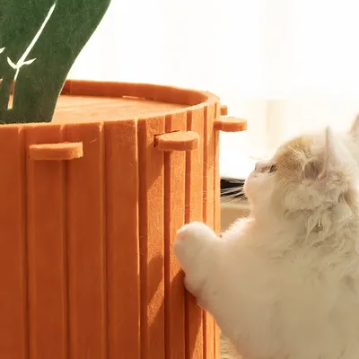FurryFusion Nid pour chat en forme de carotte