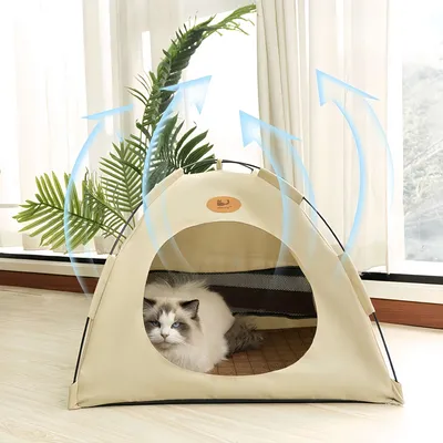 FurryFusion Tente pliable pour chat