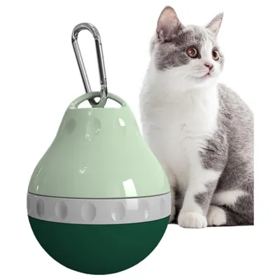 Petopia Bouteille d'eau portable pour chien