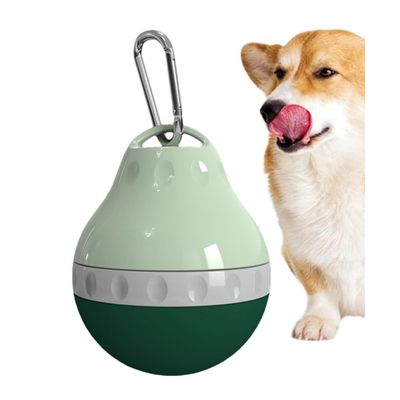 Petopia Bouteille d'eau portable pour chien