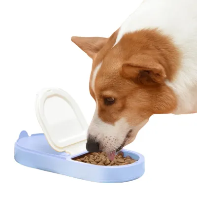 FurryFusion Bouteille d'eau 2 en 1 pour chien