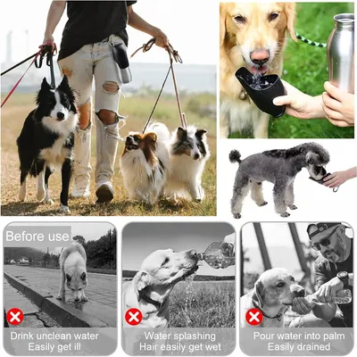 IntiMeg Gourde avec écuelle pour chien