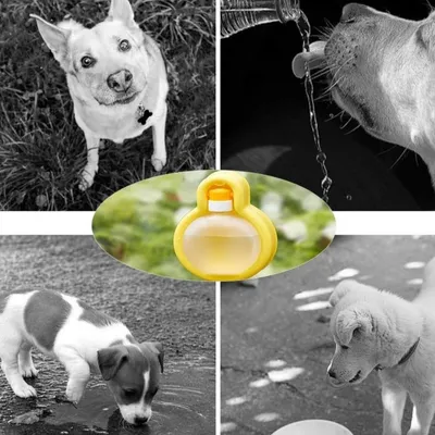 Petopia Tasse de voyage