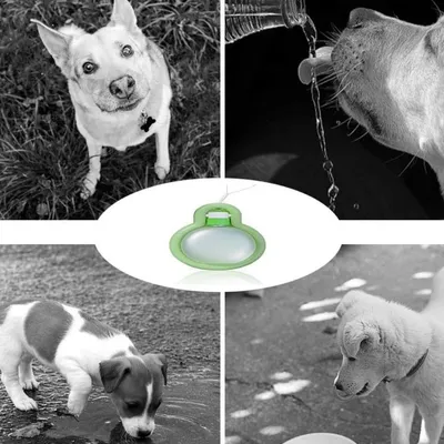 Petopia Tasse de voyage