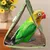 IntiMeg Nid pour oiseaux suspendus, hamac pour perroquets