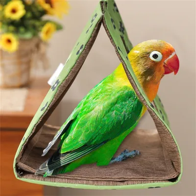 IntiMeg Nid pour oiseaux suspendus, hamac pour perroquets