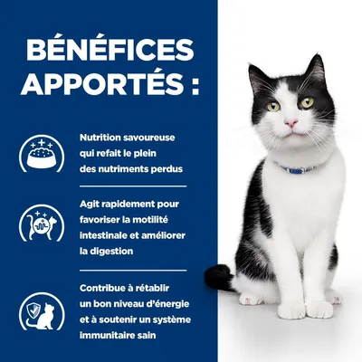HILL'S - Getränke für ausgewachsene Katzen, verschreibungspflichtige Diätf