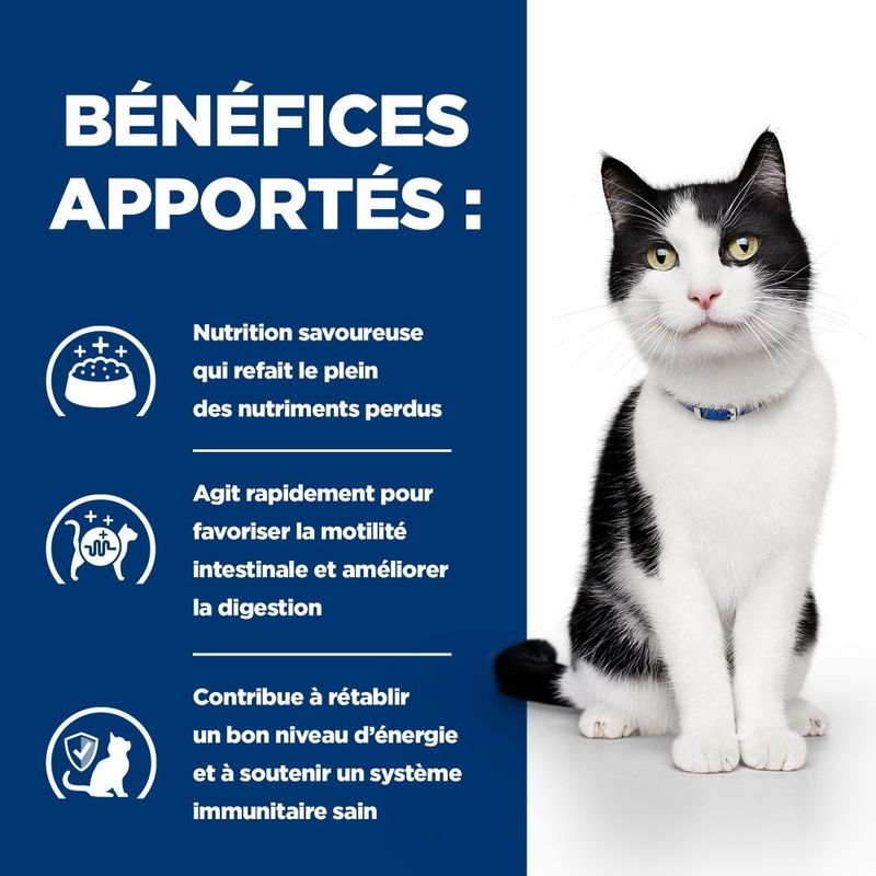 HILL'S -   CHAT ADULT PRESCRIPTION DIETS I/D DIGESTIVE