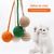 Pet Planet Chats 5 Pièces Jouet Balle Interactive