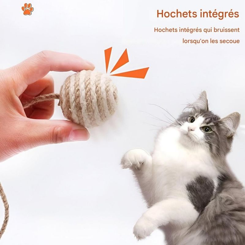 Pet Planet Chats 5 Pièces Jouet Balle Interactive