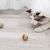 Pet Planet Animaux de Compagnie 20 Pièces Jouet Balle en Mousse