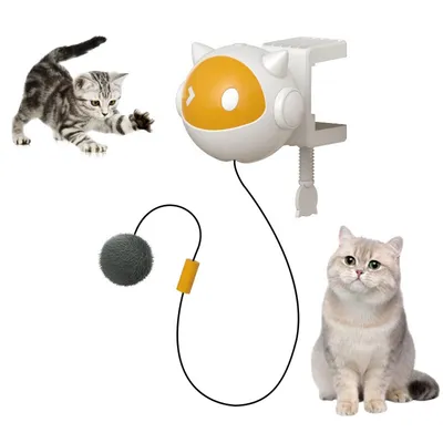 Pet Planet Balle jouet automatique pour chat