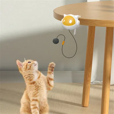 Pet Planet Balle jouet automatique pour chat