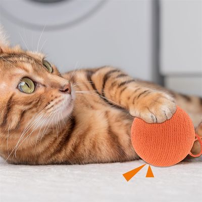 IntiMeg Balle interactive pour chat avec clochette