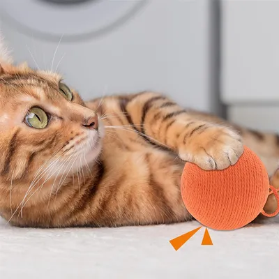 IntiMeg Balle interactive pour chat avec clochette