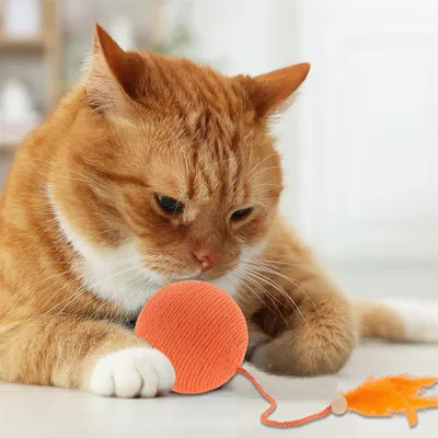 IntiMeg Balle interactive pour chat avec clochette