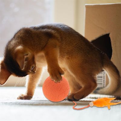 IntiMeg Balle interactive pour chat avec clochette