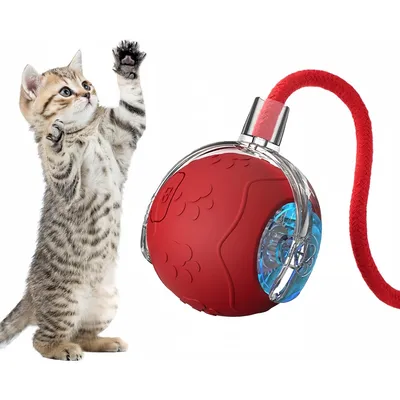 Pet Planet Chats Senting Boule de Chat en Mouvement