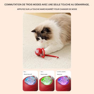 Pet Planet Chats Senting Boule de Chat en Mouvement