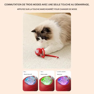 Pet Planet Chats Senting Boule de Chat en Mouvement