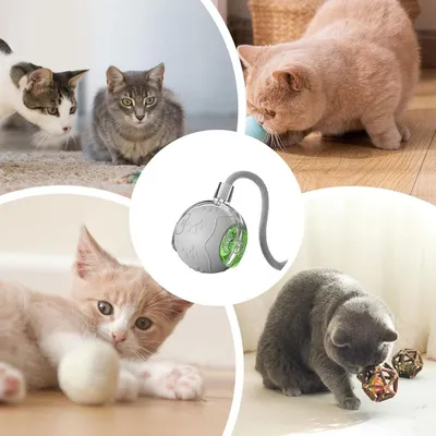 Pet Planet Chats Senting Boule de Chat en Mouvement
