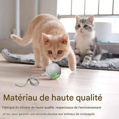 Pet Planet Chats Senting Boule de Chat en Mouvement