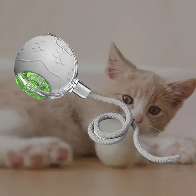 Pet Planet Chats Senting Boule de Chat en Mouvement