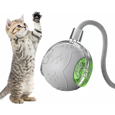 Pet Planet Chats Senting Boule de Chat en Mouvement