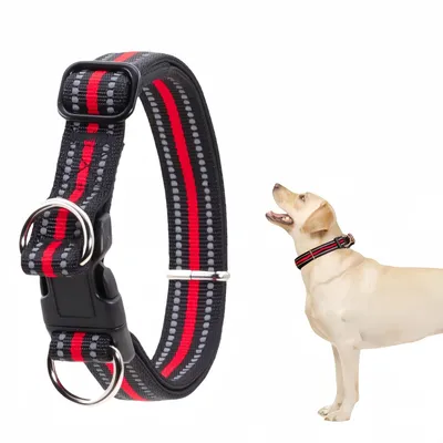 FurryFusion Collar antiahogo para perros con doble anilla en D