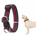 FurryFusion Collier anti - étranglement pour chien en double D