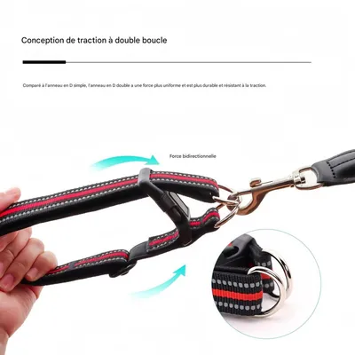 FurryFusion Collier anti - étranglement pour chien en double D