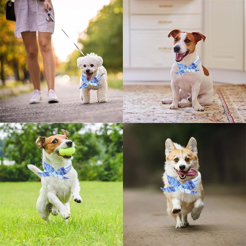IntiMeg Collier rafraîchissant pour chien