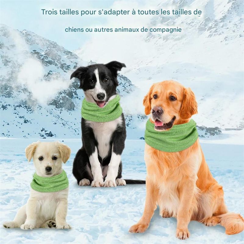 IntiMeg Bandana rafraîchissante pour chien