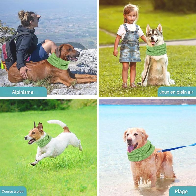 IntiMeg Bandana rafraîchissante pour chien