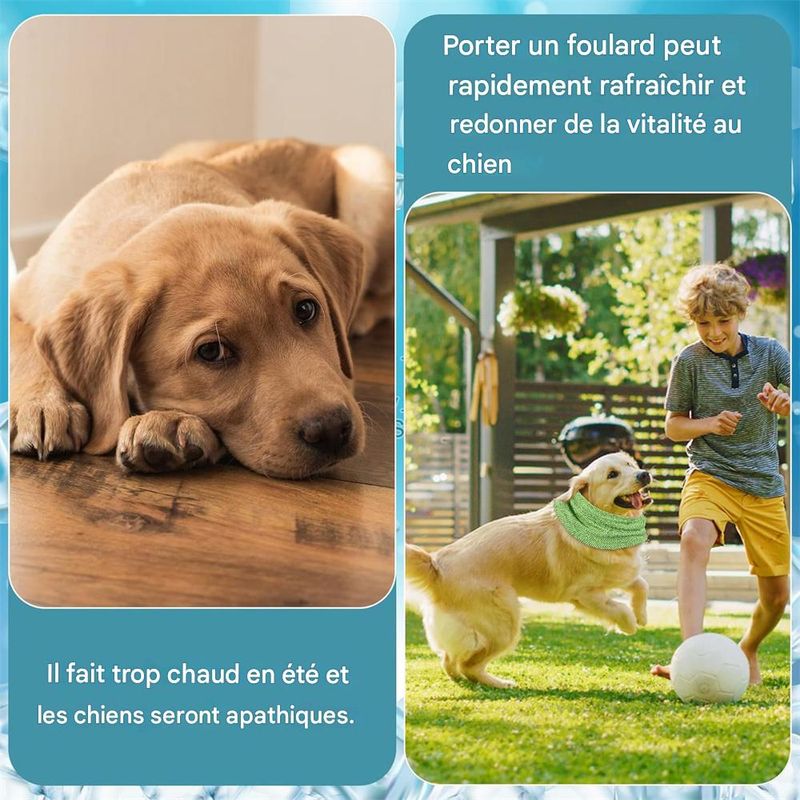 IntiMeg Bandana rafraîchissante pour chien