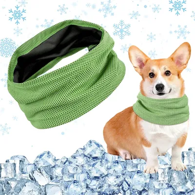 IntiMeg Bandana rafraîchissante pour chien IntiMeg Bandana rafraîchissante pour chien