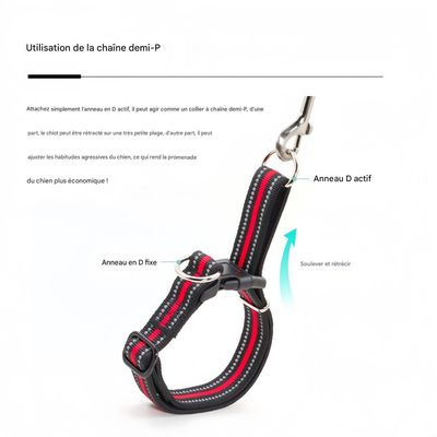 FurryFusion Collier anti - étranglement pour chien en double D