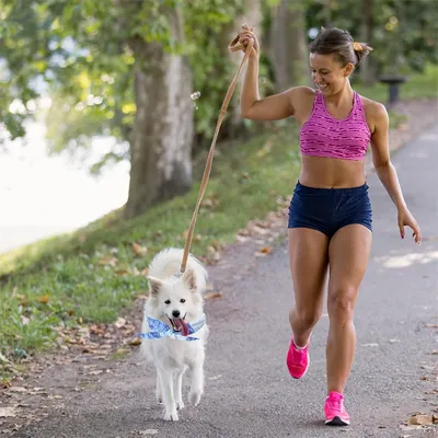 IntiMeg Collier rafraîchissant pour chien