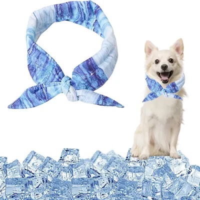 IntiMeg Collier rafraîchissant pour chien IntiMeg Collier rafraîchissant pour chien