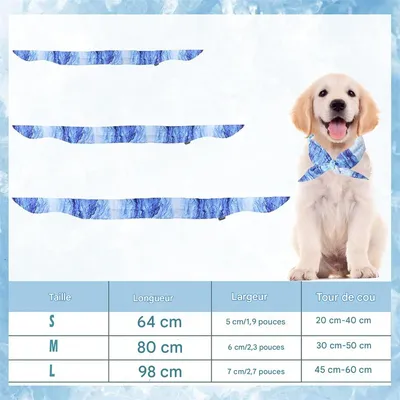 IntiMeg Collier rafraîchissant pour chien